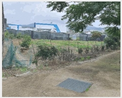  2025Ÿ��51771 ���� ��õ�� ��� 188       ����(��)���