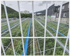  2025Ÿ��51771 ���� ��õ�� ��� 188       ����(��)���