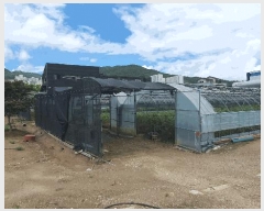  2025Ÿ��51771 ���� ��õ�� ��� 188       ����(��)���