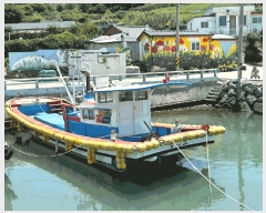  2025Ÿ51797   ȭ ȭ 231-6 ȭ     ڰ