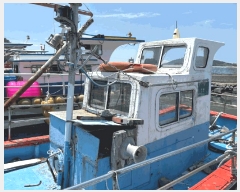  2025Ÿ51797   ȭ ȭ 231-6 ȭ     ڰ