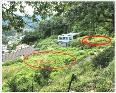  2025Ÿ51869  õ  긮 739      (Ӿ)