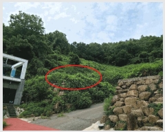  2025Ÿ51869  õ  긮 739      (Ӿ)