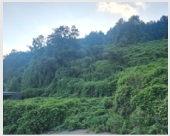  2025Ÿ51869  õ  긮 739      (Ӿ)