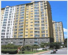  2025Ÿ51893   Ҷ ׸ 1130 ׸κο1 106 121202ȣ   Ʈ