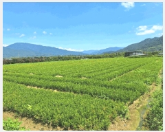  2025Ÿ51899  ʱ   905-8      ()