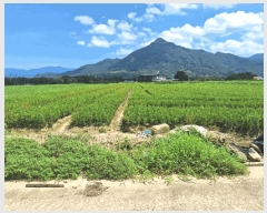  2025Ÿ51899  ʱ   905-8      ()