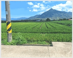  2025Ÿ51899  ʱ   905-8      ()