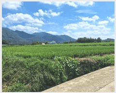  2025Ÿ51899  ʱ   905-8      ()