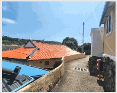  2025Ÿ��51905 ���� ������ ��ȣ�� 241-1       ����(����)���