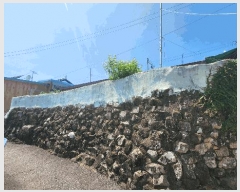  2025Ÿ��51905 ���� ������ ��ȣ�� 241-1       ����(����)���