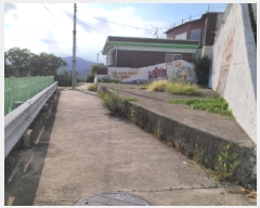  2025Ÿ��51923 ���� ������ �߾ӵ� 183       ����(����)���