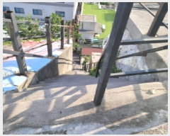  2025Ÿ��51923 ���� ������ �߾ӵ� 183       ����(����)���