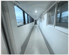  2025Ÿ��51929  ���ǽ��ڰ��