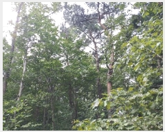  2025Ÿ51935     790-1      (1)