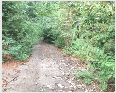  2025Ÿ51935     790-1      (1)