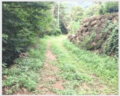  2025Ÿ51935     790-1      (1)