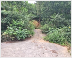  2025Ÿ51935     790-1      (1)