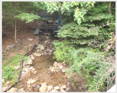  2025Ÿ51935     790-1      (1)