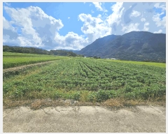  2025Ÿ��51941  ����