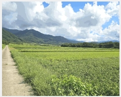  2025Ÿ��51941  ����