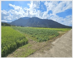  2025Ÿ��51941  ����