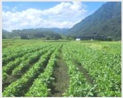  2025Ÿ��51941  ����