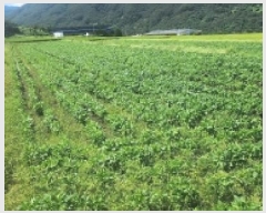  2025Ÿ��51941  ����