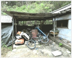  2025Ÿ��51953  �������