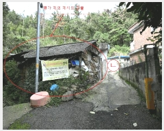  2025Ÿ��51953  �������