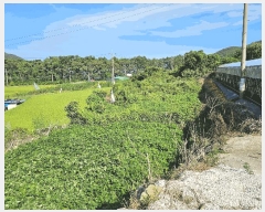  2025Ÿ��51959 ���� ���ﱺ ���ϸ� ���︮ ��62      ����(�Ӿ�)���