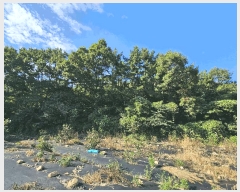  2025Ÿ��51959 ���� ���ﱺ ���ϸ� ���︮ ��62      ����(�Ӿ�)���