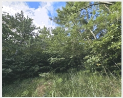  2025Ÿ��51959 ���� ���ﱺ ���ϸ� ���︮ ��62      ����(�Ӿ�)���