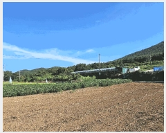  2025Ÿ��51959 ���� ���ﱺ ���ϸ� ���︮ ��62      ����(�Ӿ�)���