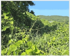  2025Ÿ��51959 ���� ���ﱺ ���ϸ� ���︮ ��62      ����(�Ӿ�)���