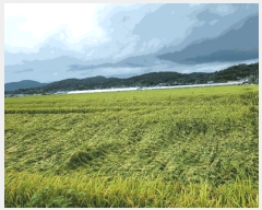  2025Ÿ51984  õ ǳ 311-9       ()