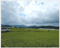  2025Ÿ51984  õ ǳ 311-9       ()