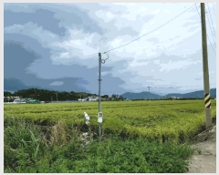  2025Ÿ51984  õ ǳ 311-9       ()