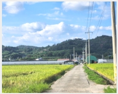  2025Ÿ51984  õ ǳ 311-9       ()