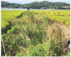  2025Ÿ51984  õ ǳ 311-9       ()