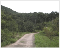  2025Ÿ��52002 ���� ���ʱ� �굿�� ��õ�� 79      ����(��)���