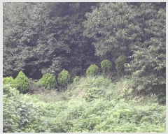  2025Ÿ��52002 ���� ���ʱ� �굿�� ��õ�� 79      ����(��)���