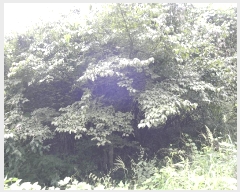  2025Ÿ��52002 ���� ���ʱ� �굿�� ��õ�� 79      ����(��)���