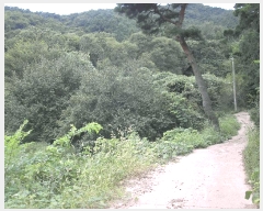  2025Ÿ��52002 ���� ���ʱ� �굿�� ��õ�� 79      ����(��)���