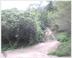  2025Ÿ��52002 ���� ���ʱ� �굿�� ��õ�� 79      ����(��)���