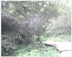  2025Ÿ��52002 ���� ���ʱ� �굿�� ��õ�� 79      ����(��)���