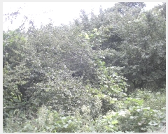  2025Ÿ��52002 ���� ���ʱ� �굿�� ��õ�� 79      ����(��)���