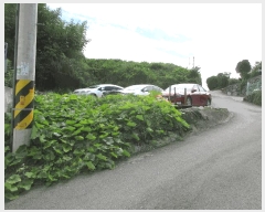  2025Ÿ��52056 ���� ��õ�� ��뵿 699       ����(����)���