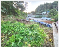  2025Ÿ��52056 ���� ��õ�� ��뵿 699       ����(����)���