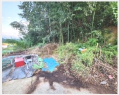  2025Ÿ��52056 ���� ��õ�� ��뵿 699       ����(����)���